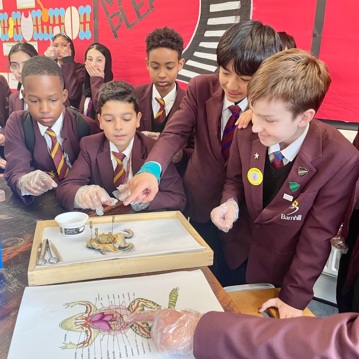 ks3-science-club-news-barnhill-community-high-school
